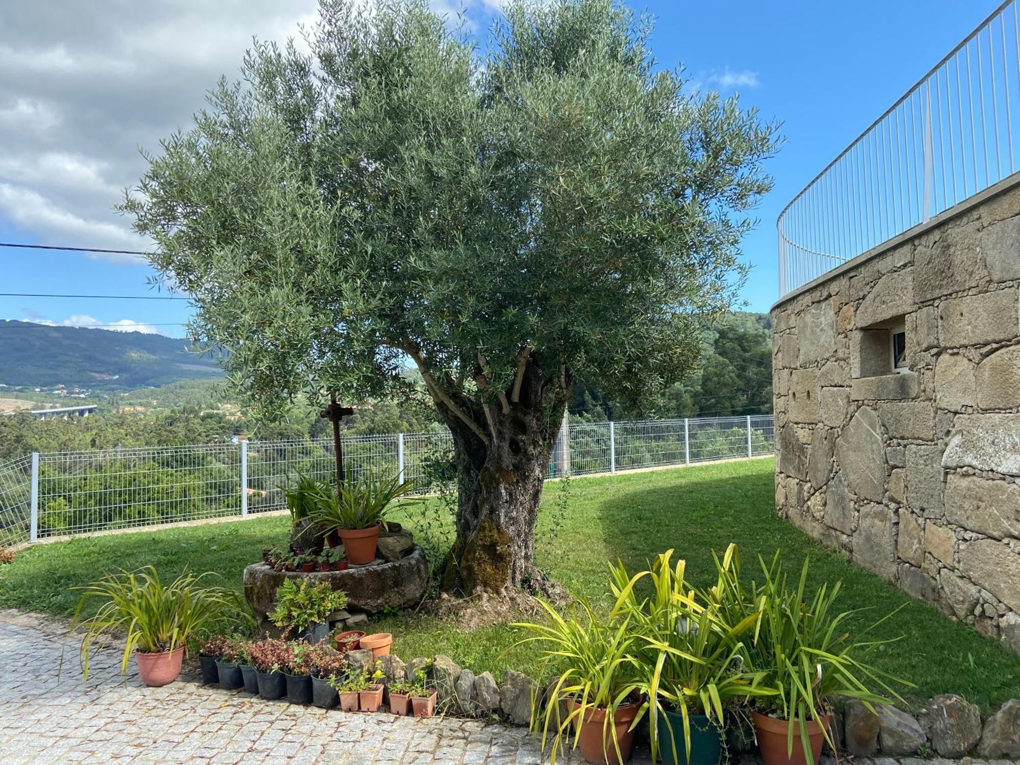 Villa Casa Da Gandara à Ponte de Lima Extérieur photo